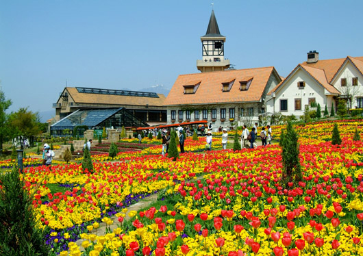 ����å��ǲ�����ɽ��