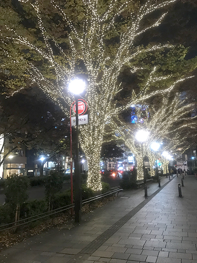 ����å��ǲ�����ɽ��