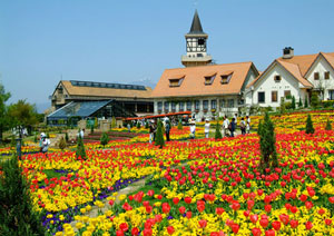 ����å��ǲ�����ɽ��