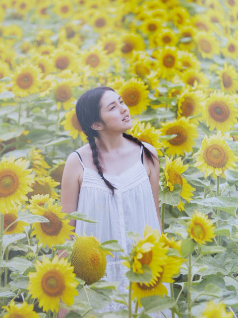 ����å��ǲ�����ɽ��